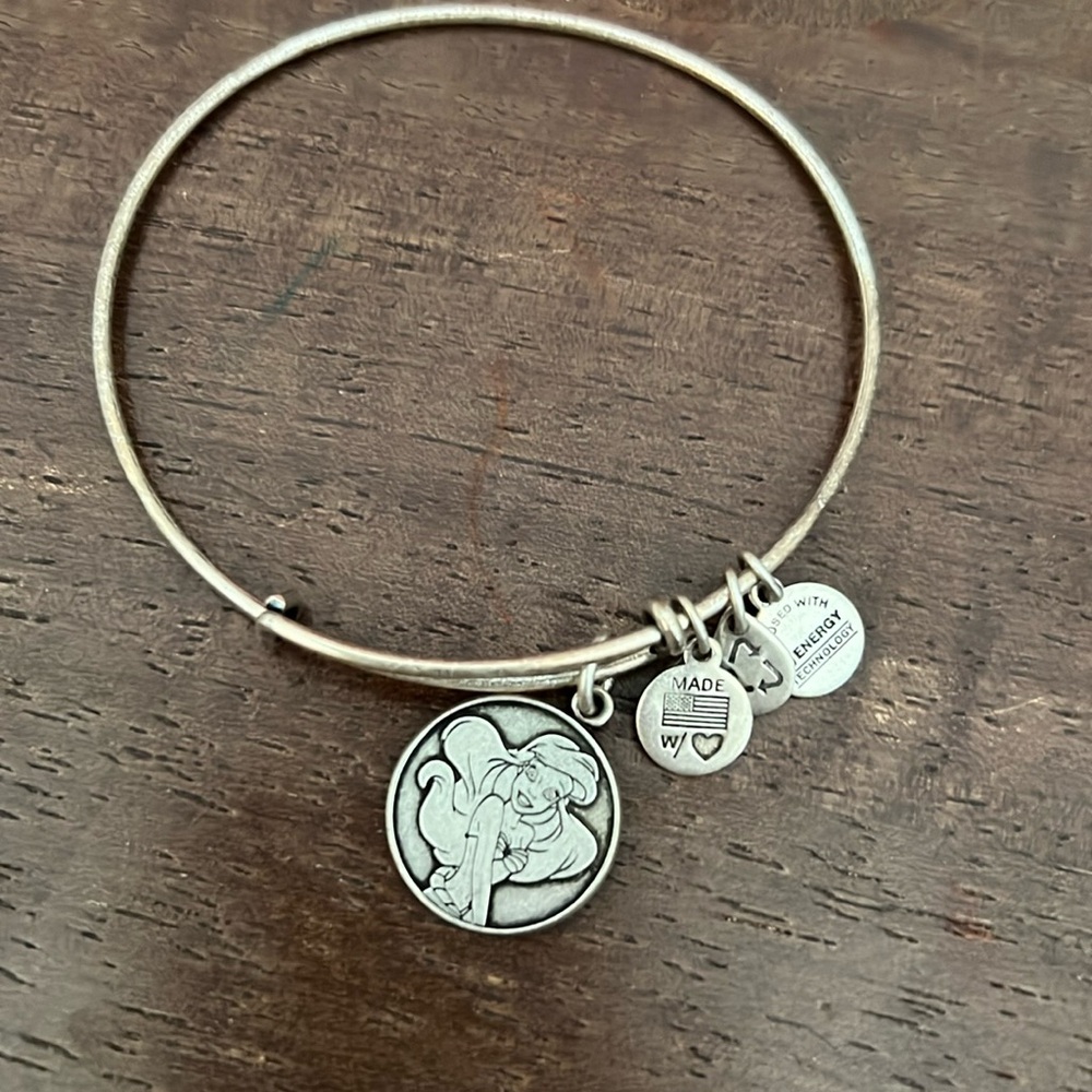 Alex and Ani Ariel Charm bracelet